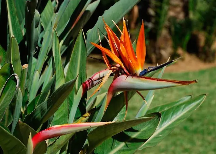 Atico De Jardines Διαμέρισμα *
